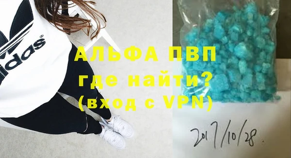 прущие грибы Новосибирск