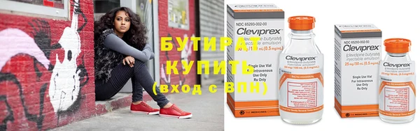 прущие грибы Новосибирск