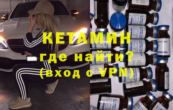 прущие грибы Новосибирск