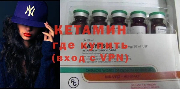 трава Ессентукская