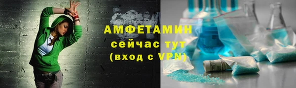 прущие грибы Новосибирск