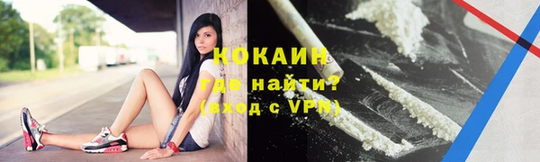 трава Ессентукская