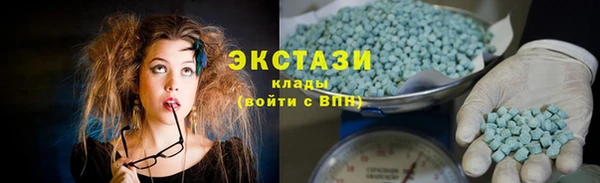 прущие грибы Новосибирск