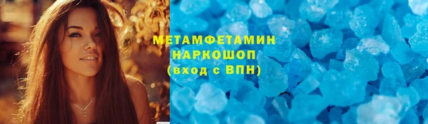 прущие грибы Новосибирск