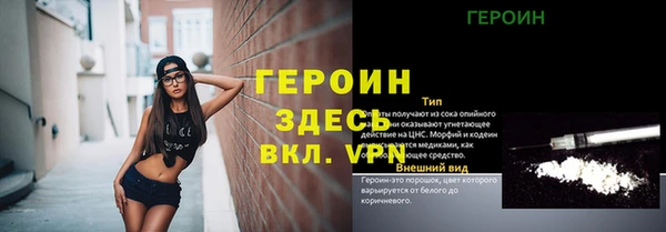 трава Ессентукская