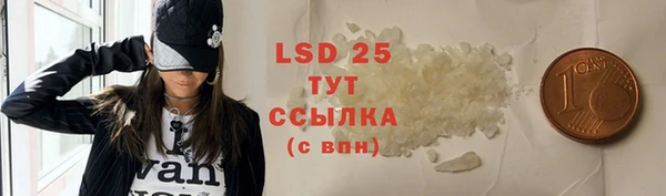 трава Ессентукская