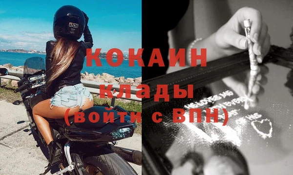 прущие грибы Новосибирск