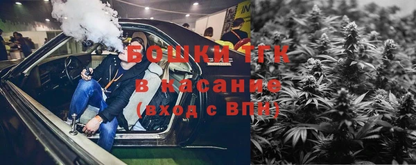 трава Ессентукская