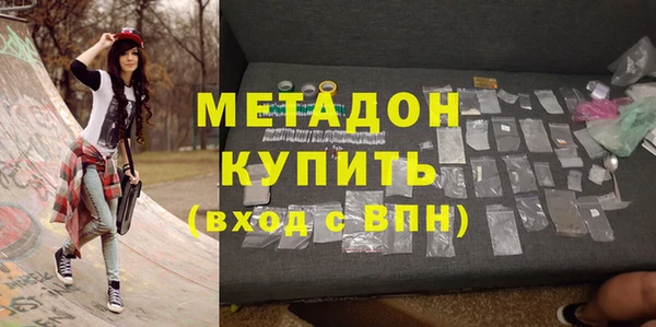 прущие грибы Новосибирск