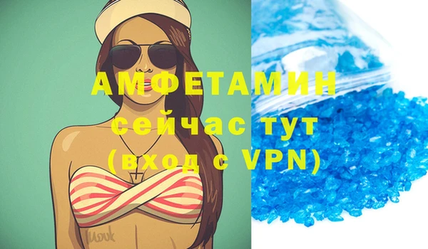 прущие грибы Новосибирск