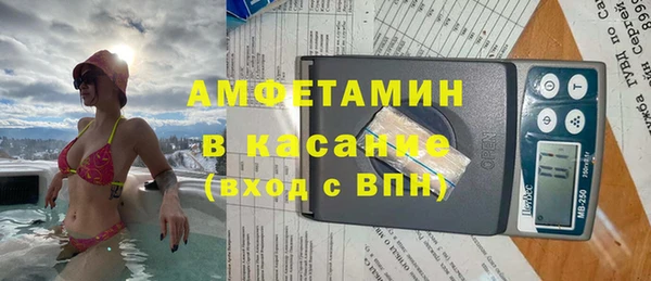 трава Ессентукская