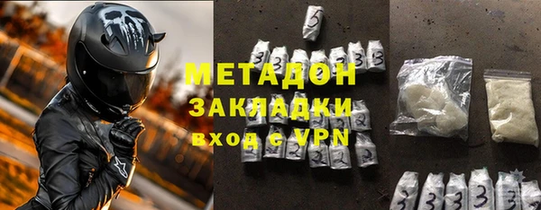 прущие грибы Новосибирск