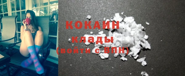 трава Ессентукская