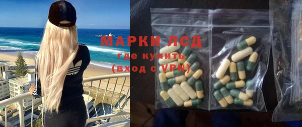 прущие грибы Новосибирск